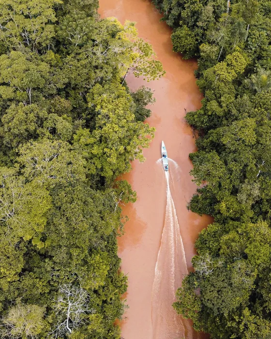 Ein Boot auf einem Seitenarm des Amazonas, von oben gesehen