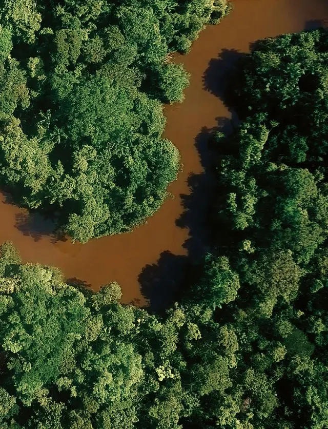 Brasilien, Fluss im Dschungel